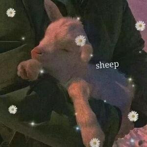 啊哈