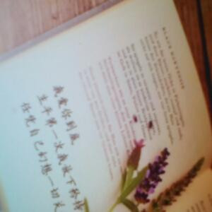 尘缘