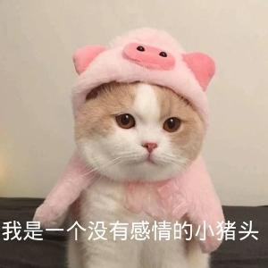 二八十九