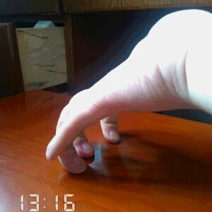 醉书