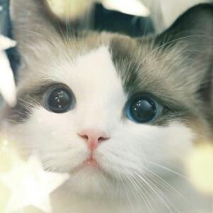 汐