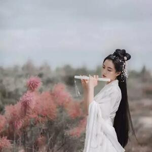 简悦