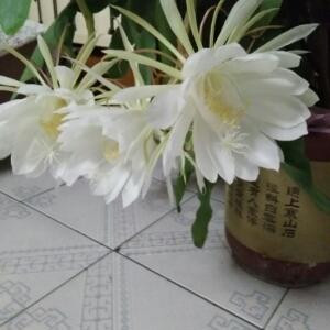 一米阳光