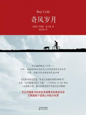 奇风岁月