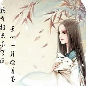 樱花雨落