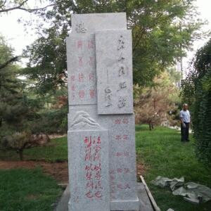 小兔不乘