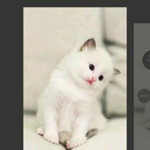 青春无悔