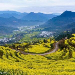 江岭馨悦客栈