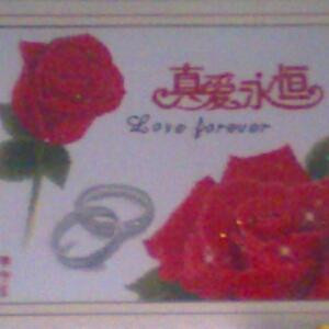 20040420
