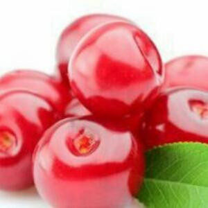 豆豆芽520