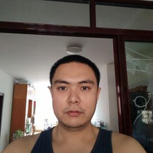 虎跃龙腾