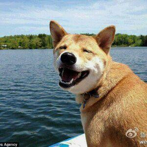 狙游