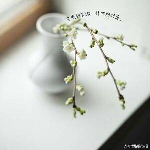 往北而去