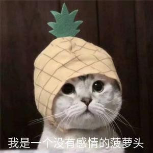 忆?往昔