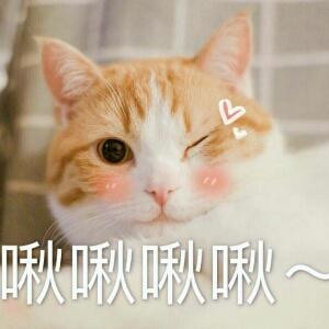 一只快乐的猪