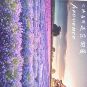木珞寻
