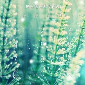 落樱轻梦
