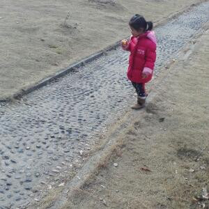 锦钰
