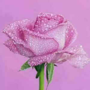 书中自有书中趣