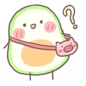 蜜枣粽子
