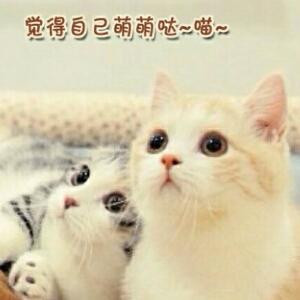 驭轻鸢