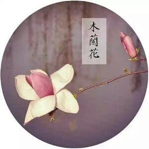 竹云之海