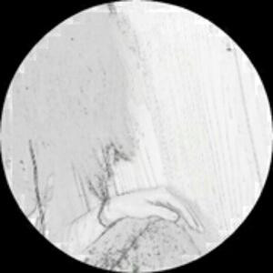 笑当天下不知名