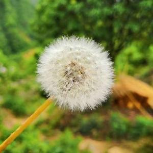 阳光