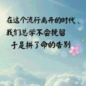 坚持选我所爱