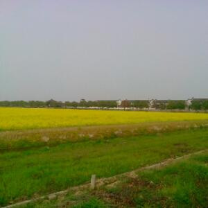 时间流逝