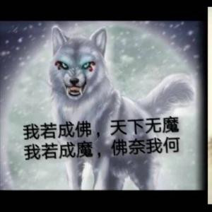 琴鹏相爱