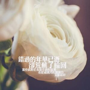 夏娃
