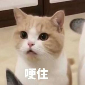 一个路人甲L