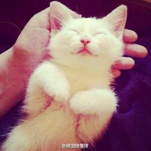Smile Angel