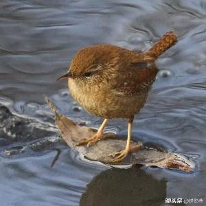 百宝箱