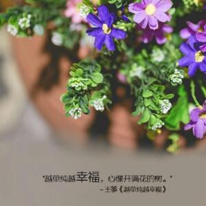 小妖