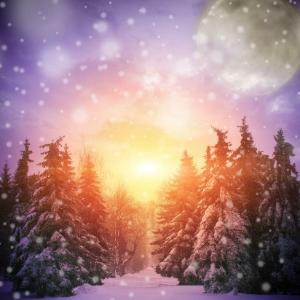 牛头马面来相会