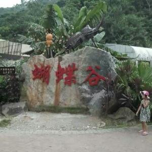 花千骨