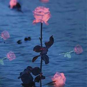 烟花雨