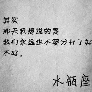 睡觉觉了偷懒
