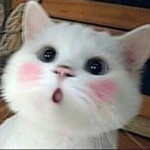 放纵