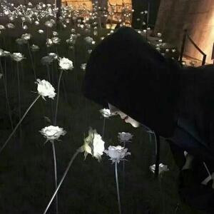 爱丽