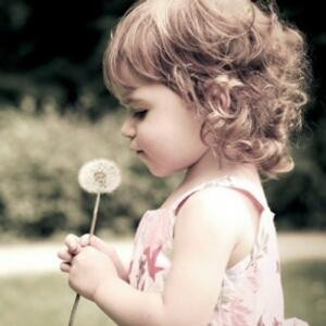 掌阅蒹軹資询处