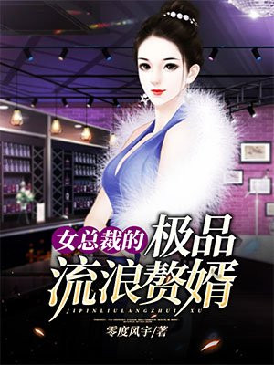 女总裁的极品流浪赘婿