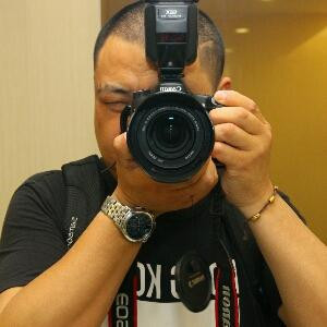 i41529375兔子