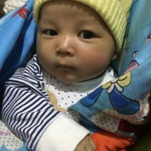 杨东锋