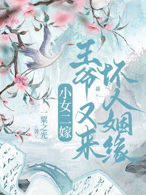 小女二嫁,王爷又来坏人姻缘