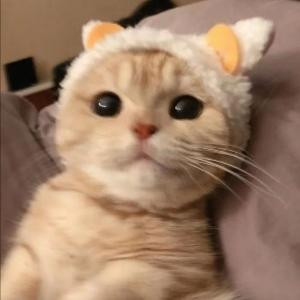小聂爱读书