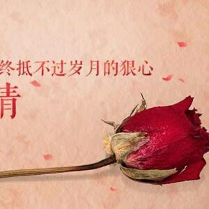 改变