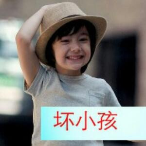 小说万岁